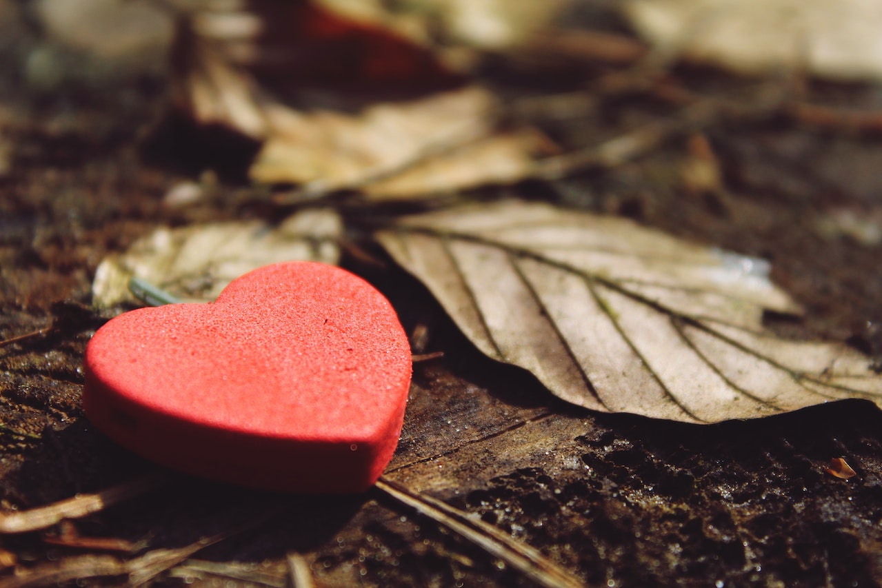 Red wooden heart laying on the ground surrounded by dry, brown leaves
